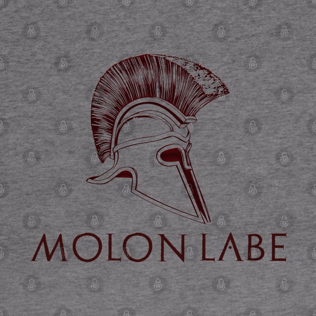 Molon Labe - Spartan / Gun Rights Shirt by Styr Designs